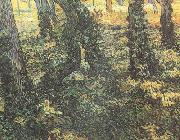 Vincent Van Gogh Tree Trunks with Ivy (nn04) Germany oil painting artist